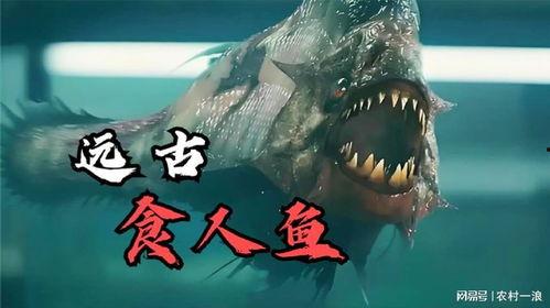 电影食人鱼,深海食肉者的恐怖盛宴