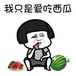 娱乐圈吃瓜定律是什么,吃瓜定律背后的真相与启示